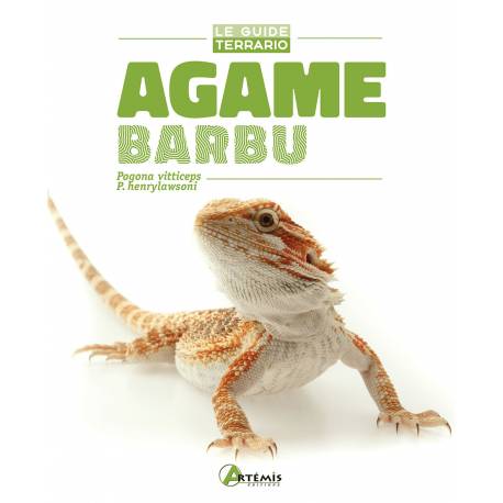 AGAME BARBU