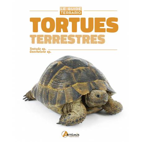 TORTUES TERRESTRES