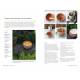 POTIONS, ELIXIRS & SOLUTIONS NATURELS