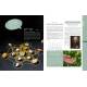 L'ALMANACH DE SORCIERES 2026