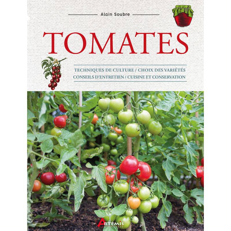 Culture de la tomate cerise: Tomate cerise (French Edition): Jollireddy,  Omprasad: 9786206335450: : Books