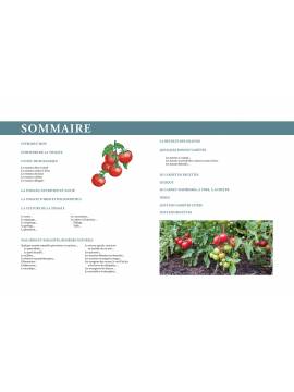 TOMATES - TECHNIQUES DE CULTURE CHOIX VARIETES - CONSEILS - CUISINE