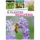 INSECTES POLLINISATEURS ET PLANTES MELLIFERES