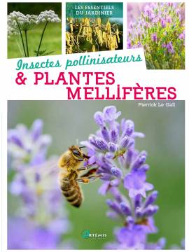 INSECTES POLLINISATEURS ET PLANTES MELLIFERES