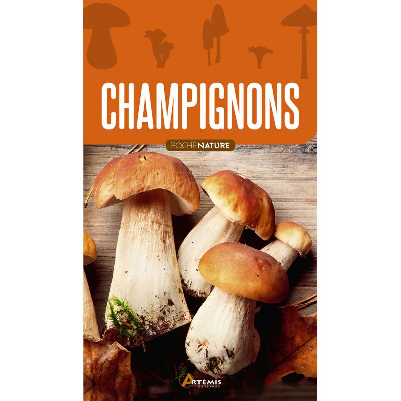 Champignons : le guide de poche