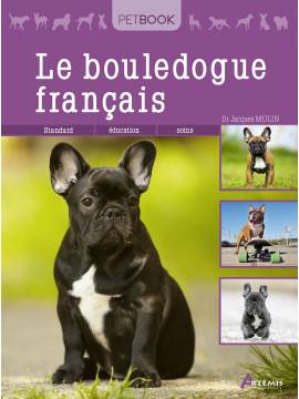 BOULEDOGUE FRANCAIS