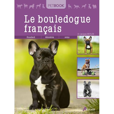 BOULEDOGUE FRANCAIS