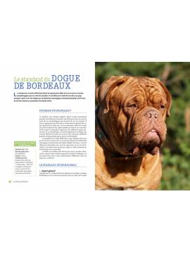 LE DOGUE DE BORDEAUX