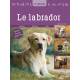 LABRADOR