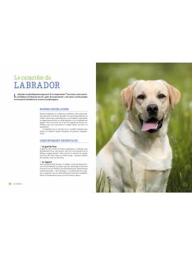 LABRADOR