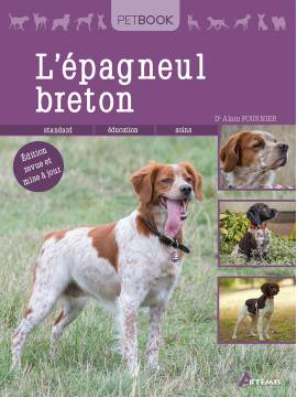 EPAGNEUL BRETON