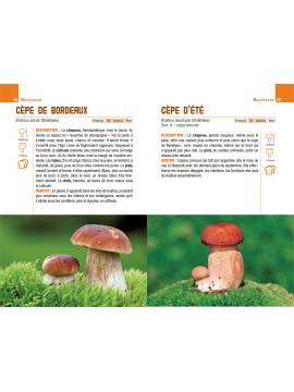 POUR RECONNAITRE LES CHAMPIGNONS