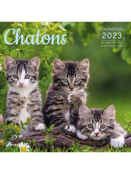CALENDRIER CHATONS 2023