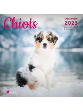 CALENDRIER CHIOTS 2023