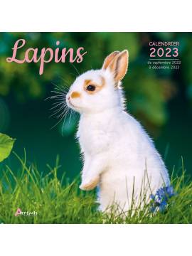 CALENDRIER LAPINS 2023