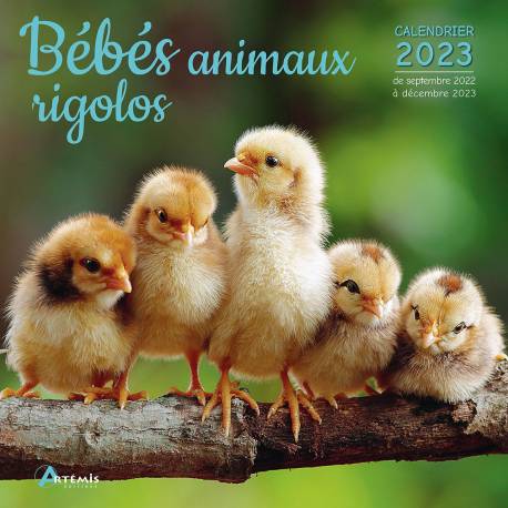 CALENDRIER BÉBÉS ANIMAUX RIGOLOS 2023