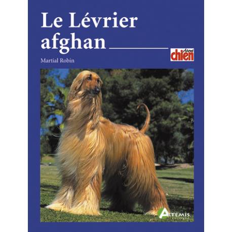 LEVRIER AFGHAN