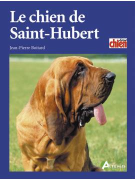 CHIEN DE SAINT HUBERT