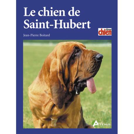 CHIEN DE SAINT HUBERT