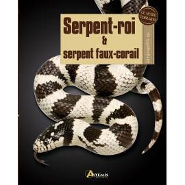 SERPENT-ROI ET SERPENTS FAUX-CORAIL