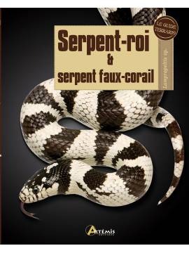 SERPENT-ROI ET SERPENTS FAUX-CORAIL