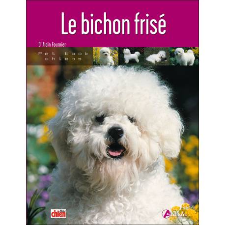 BICHON FRISE