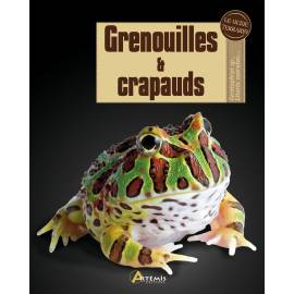 GRENOUILLES ET CRAPAUDS