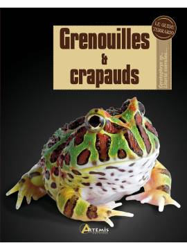 GRENOUILLES ET CRAPAUDS