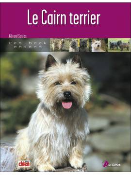 CAIRN TERRIER