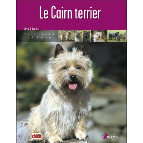 CAIRN TERRIER