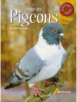 ELEVAGE DES PIGEONS