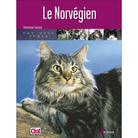 NORVEGIEN