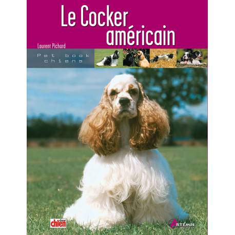 COCKER AMERICAIN