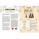 SECRETS D'AMULETTES DE SORCIERE