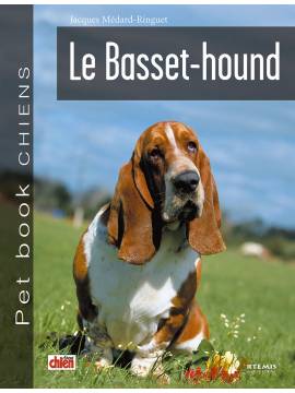 BASSET HOUND