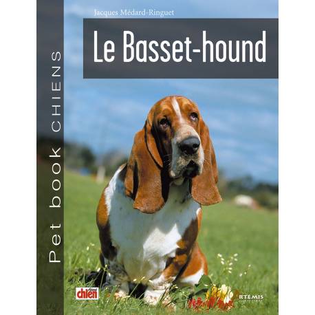 BASSET HOUND