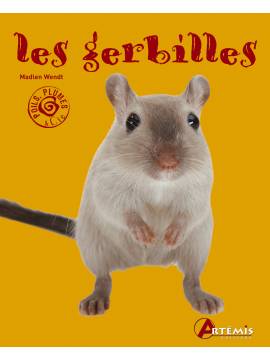 LES GERBILLES