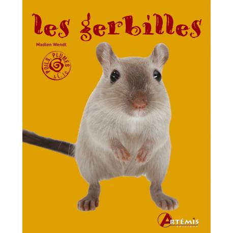 LES GERBILLES