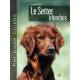 SETTER IRLANDAIS