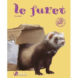 LE FURET