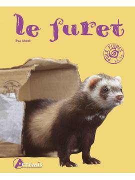 LE FURET