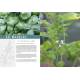 PLANTES AROMATIQUES ET MEDICINALES SAUVAGES