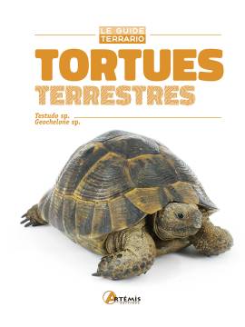 TORTUES TERRESTRES