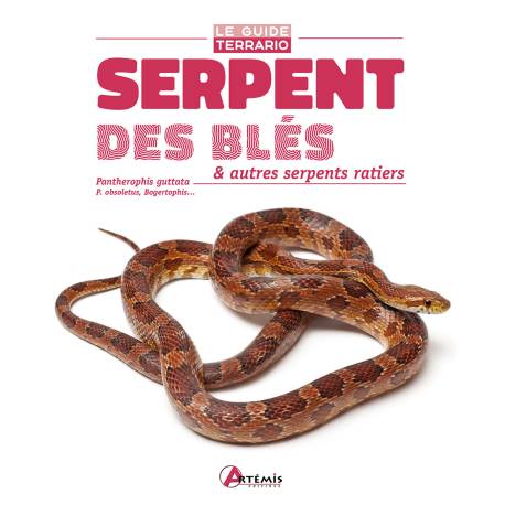 SERPENTS DES BLES ET AUTRES SERPENTS RATIERS