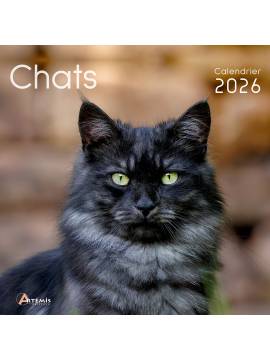CALENDRIER CHATS 2026