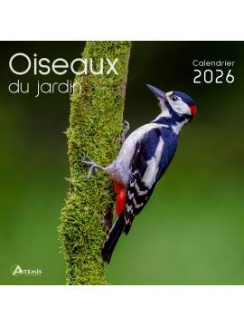 CALENDRIER OISEAUX DU JARDIN 2026