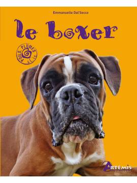 LE BOXER