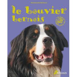 LE BOUVIER BERNOIS