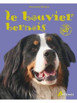 LE BOUVIER BERNOIS