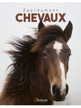 EPERDUMENT CHEVAUX